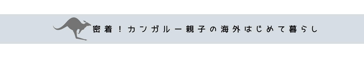 密着！カンガルー親子の海外はじめて暮らし